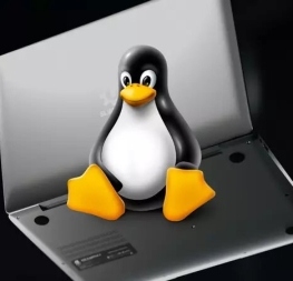 These 7 applications cannot be missing from your computer if you use Linux